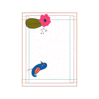 Barberton Daisy People