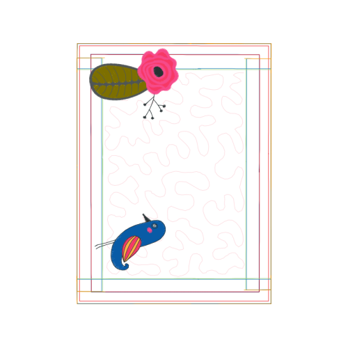 Barberton Daisy People Barberton Daisy People