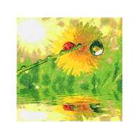 Book People Book People