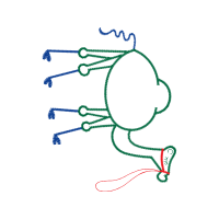 Diagram People Diagram People