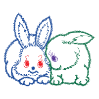 Domestic Rabbit People Domestic Rabbit People