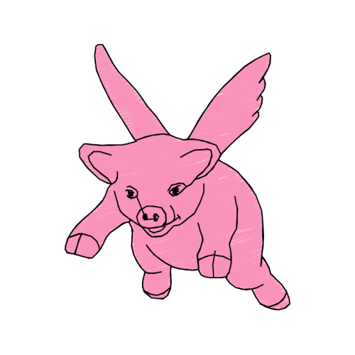 Domestic Rabbit People Domestic Rabbit People