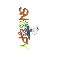 Drawing People Drawing People