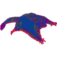 Drawing People Drawing People