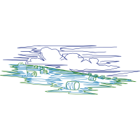 Drawing People Drawing People