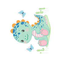 Gossamer Winged Butterflies People