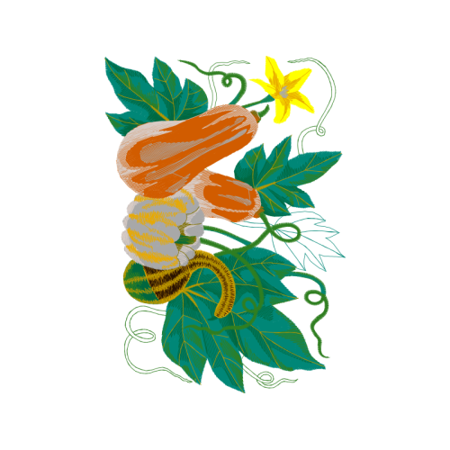 Laceleaf People Laceleaf People