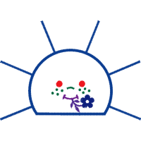 Lotus Sutra People Lotus Sutra People