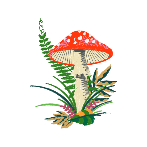 Mushroom People Mushroom People