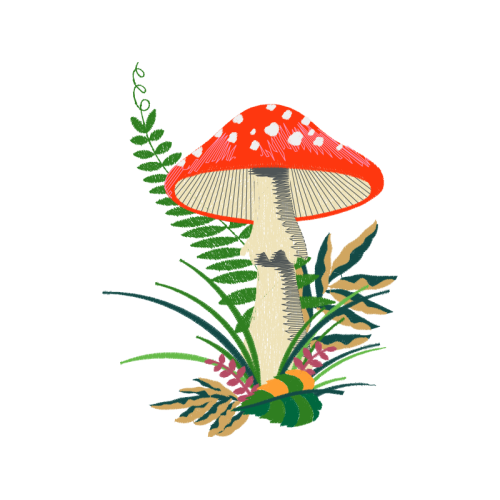 Mushroom People Mushroom People