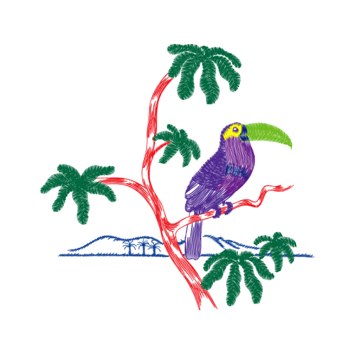 Piciformes People Piciformes People