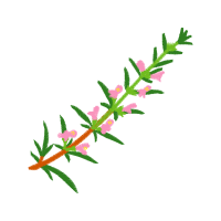 Pomegranate People Pomegranate People