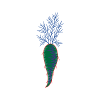 Radish People Radish People