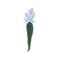 Radish People Radish People