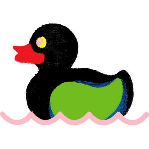 Seaducks People Seaducks People