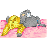 Tibetan Terrier People Tibetan Terrier People