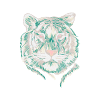 Tiger People Tiger People