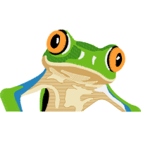 Toads People Toads People