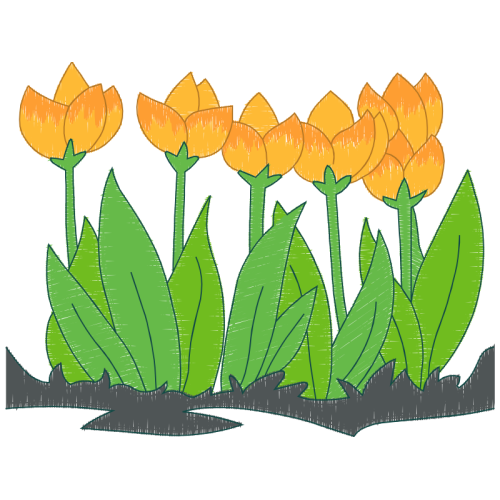 Tulip People Tulip People