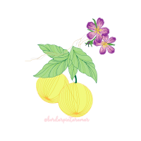 Vervain People Vervain People