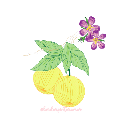 Vervain People Vervain People