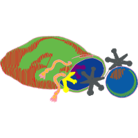 Visual Arts People Visual Arts People