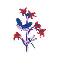 Visual Arts People Visual Arts People