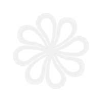 2025 Toyota Corolla People 2025 Toyota Corolla People