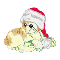 American Cocker Spaniel People American Cocker Spaniel People