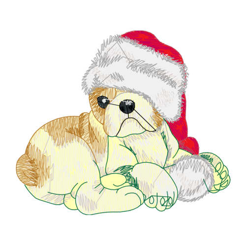 American Cocker Spaniel People American Cocker Spaniel People