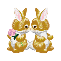 Domestic Rabbit People Domestic Rabbit People