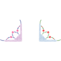 Crossword Quotes Crossword Quotes