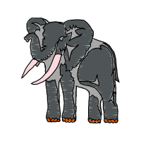 African Elephants Quotes African Elephants Quotes