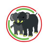 African Elephants Quotes African Elephants Quotes