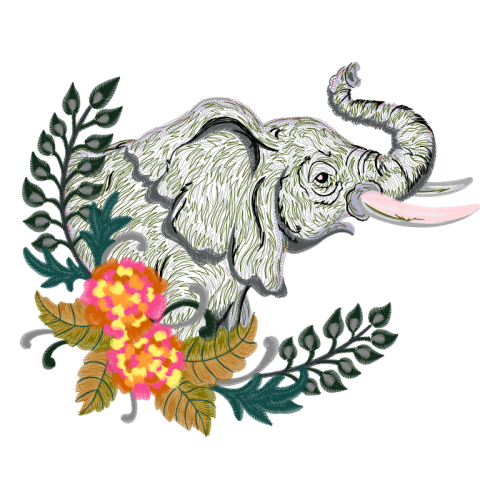 African Elephants Quotes African Elephants Quotes