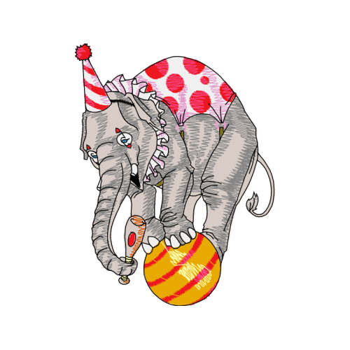 African Elephants Quotes African Elephants Quotes