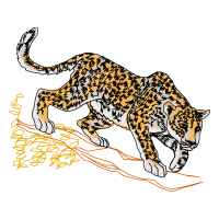African Leopard Quotes