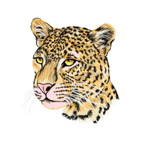 African Leopard Quotes