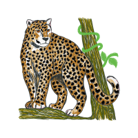 African Leopard Quotes