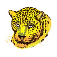 African Leopard Quotes