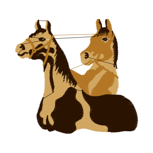 Airedale Terrier Quotes Airedale Terrier Quotes