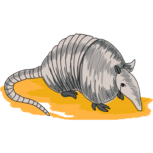 Armadillo Quotes Armadillo Quotes
