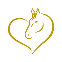 Art Quotes Art Quotes