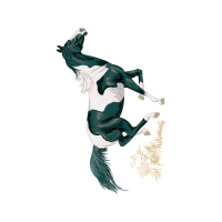 Art Quotes Art Quotes