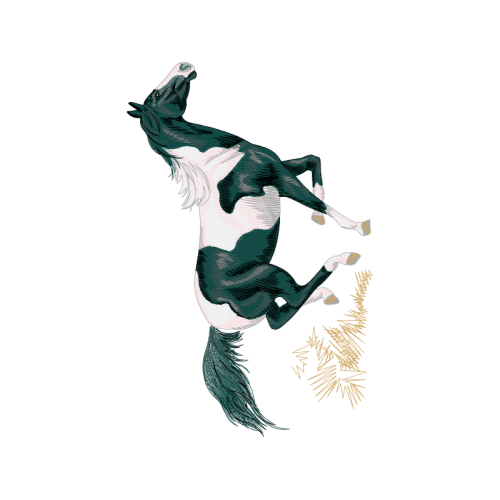 Art Quotes Art Quotes