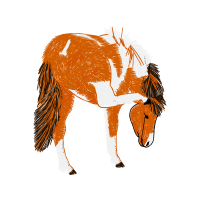 Birds Quotes Birds Quotes