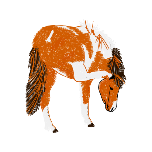 Birds Quotes Birds Quotes