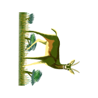 Birds Quotes Birds Quotes