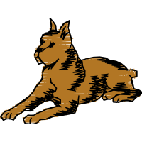 Black Norwegian Elkhound Quotes