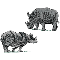 Black Rhinoceros Quotes